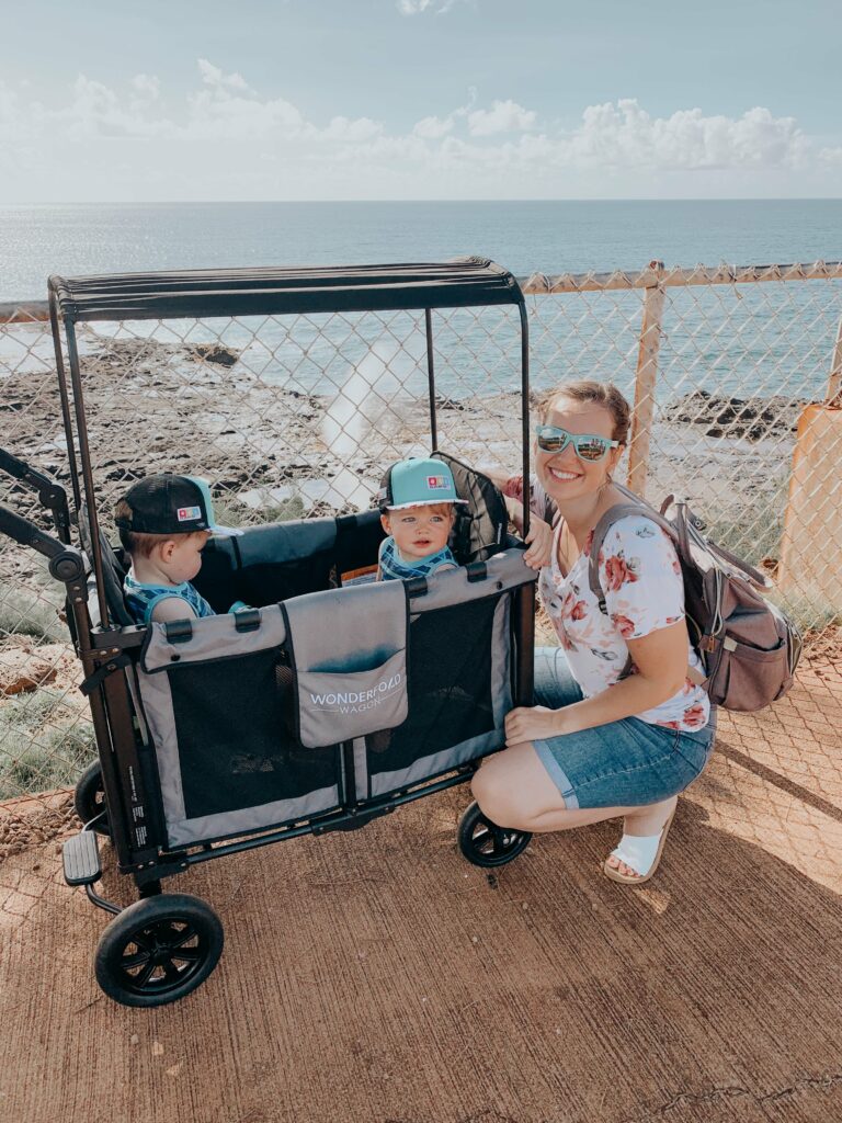 Best beach stroller 2019 store