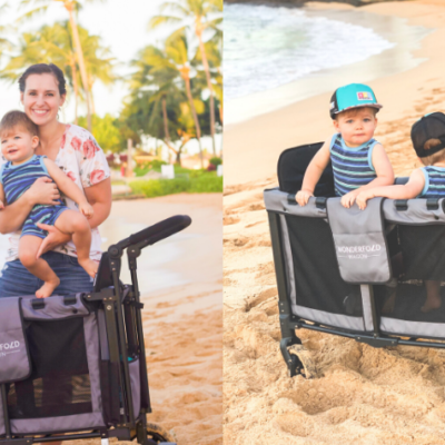 The Best Stroller Wagon