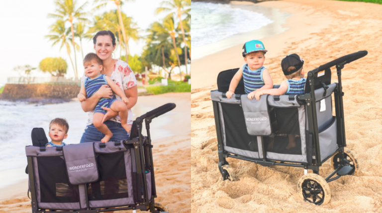 The Best Stroller Wagon