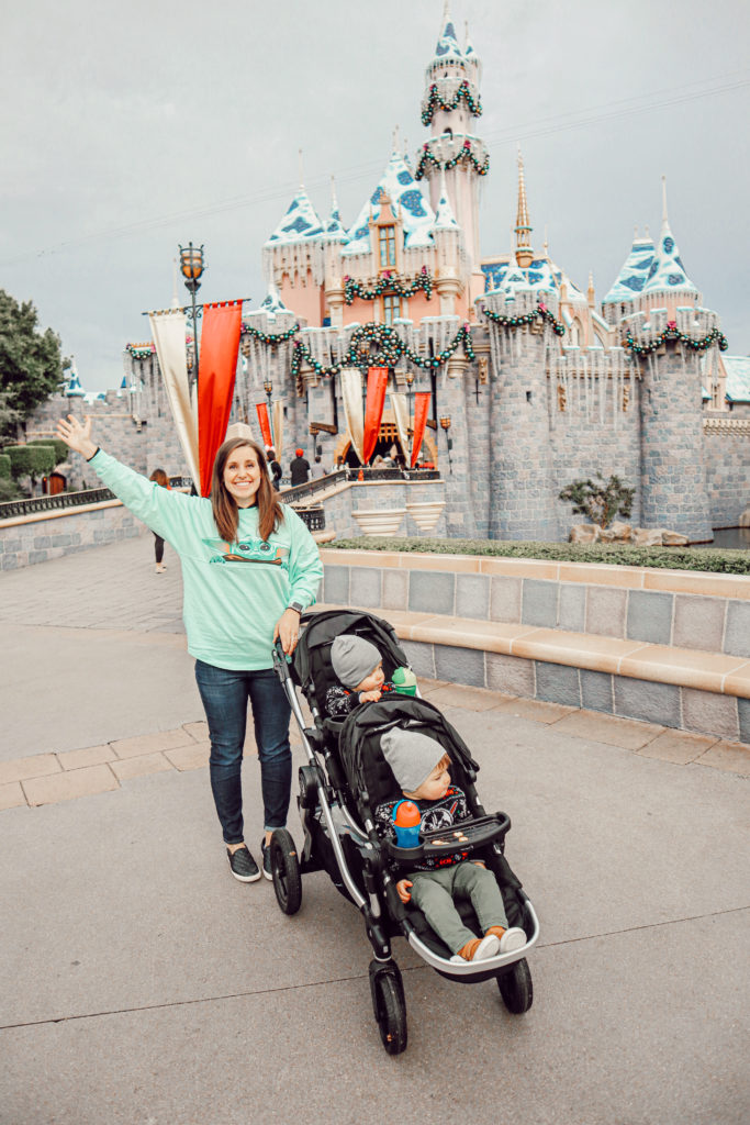 Disneyland 2019