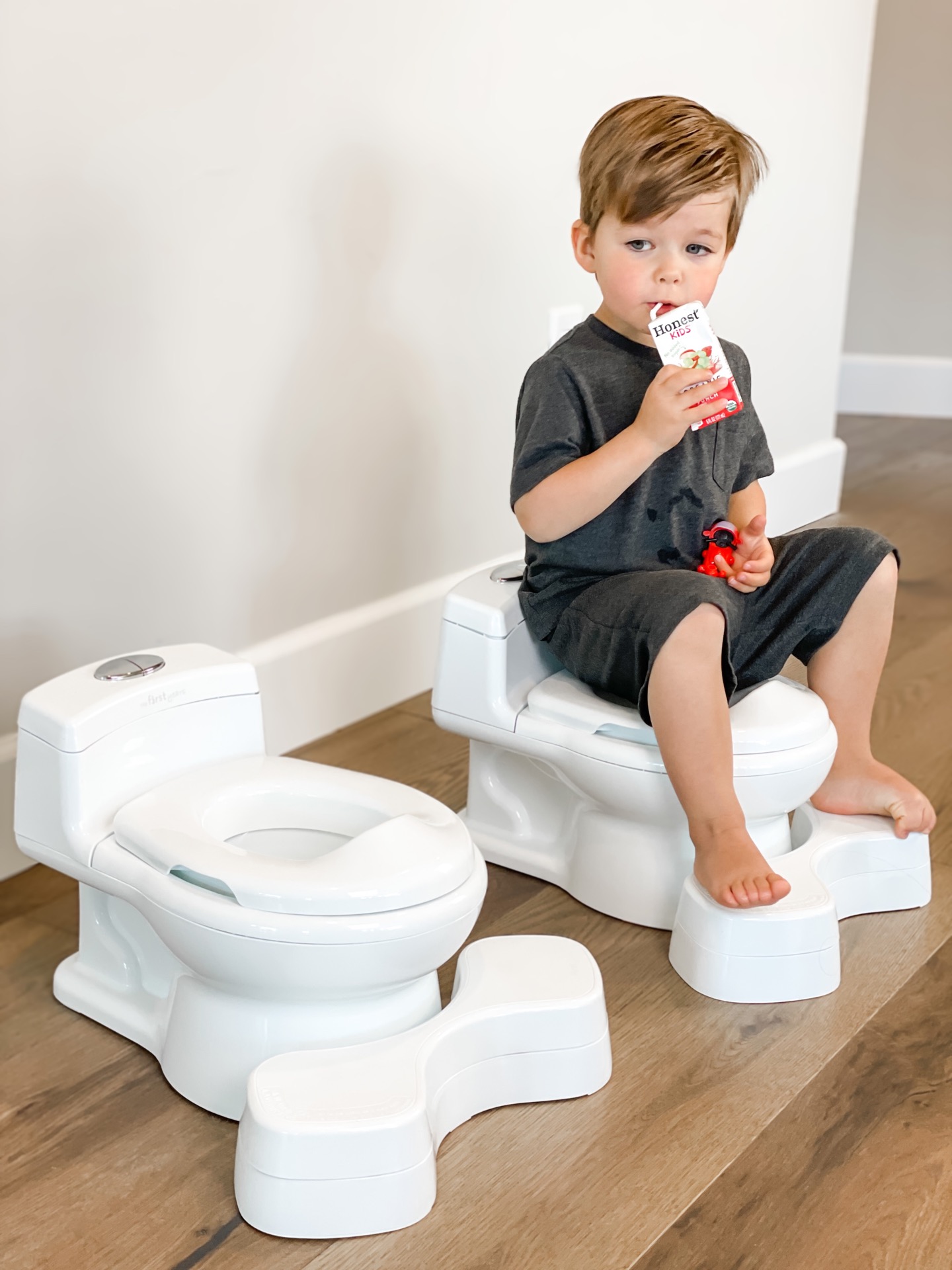 The best potty training seat for toddlers Coco's Caravan
