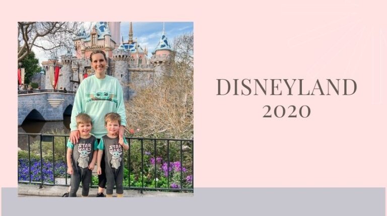 Took the Caravan on a fun Disneyland trip 2022