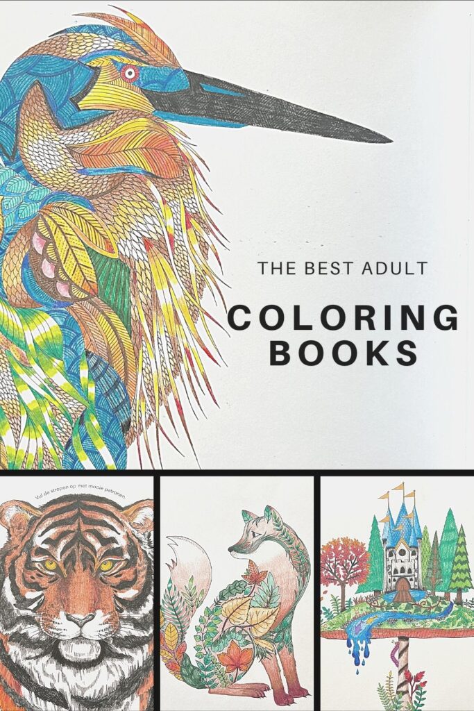 The best adult coloring books and supplies