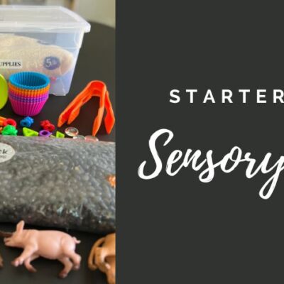 The best sensory bin starter kit for toddlers