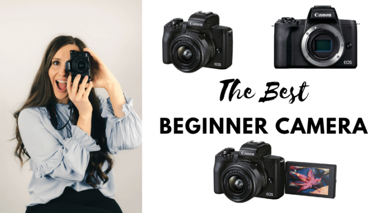 The best camera for beginners