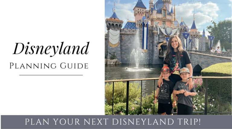 The Best Disneyland Planning Guide