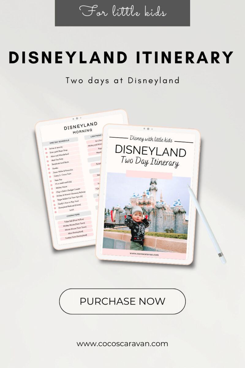 The Best Disneyland Planning Guide - Coco's Caravan