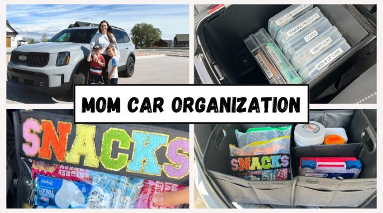 The best Mom Car Organization