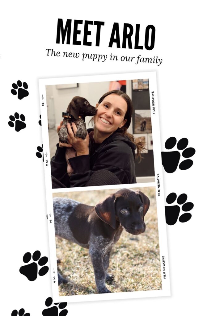 We have a new puppy! Meet Arlo, our German Shorthaired Pointer, and the story behind how he joined our family after saying goodbye to Grant’s beloved dog Jack.